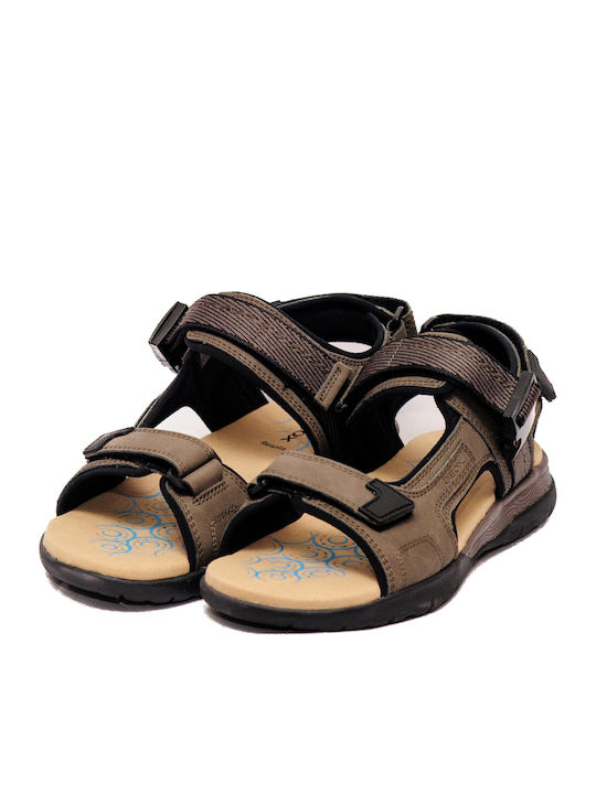 Geox Geox
