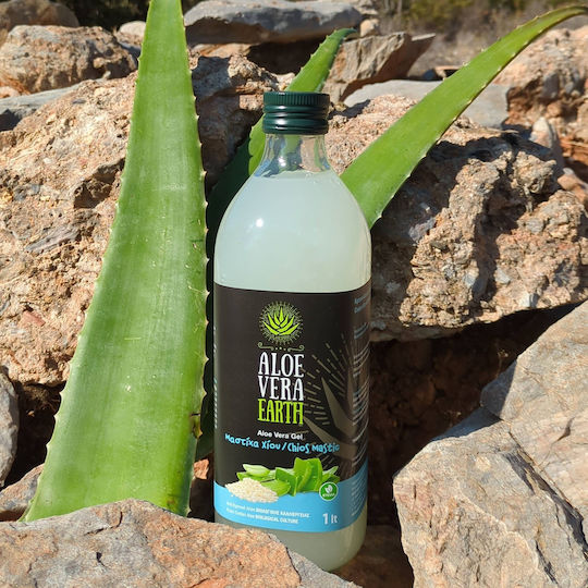 Aloe Vera Earth Αλόη 1000ml Μαστίχα
