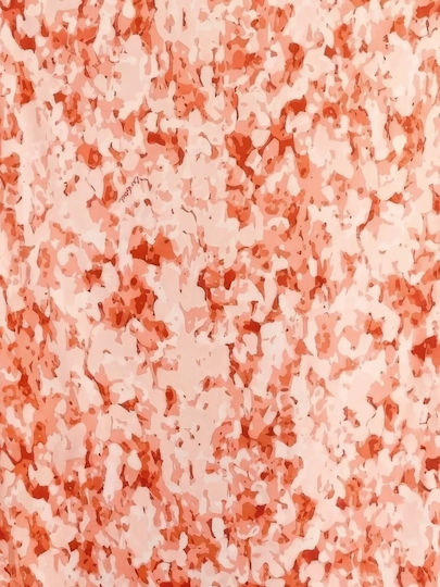 Αξεσουαρ Cleo Gatzeli Wallet Scrunchie Salt Bloom Coral