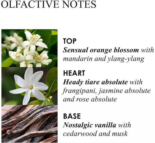 Molton Brown Light Ενυδατική Κρέμα για Σκασμένα Χέρια 300ml