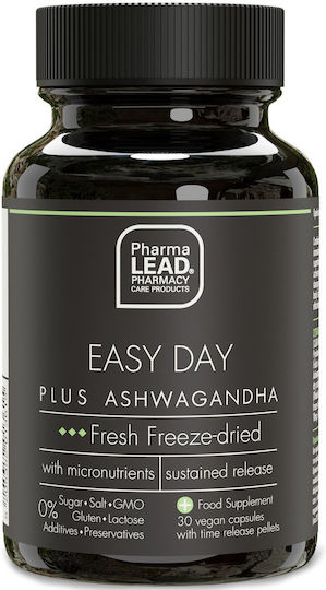 Pharmalead Easy Day Plus 30 κάψουλες Elderberry