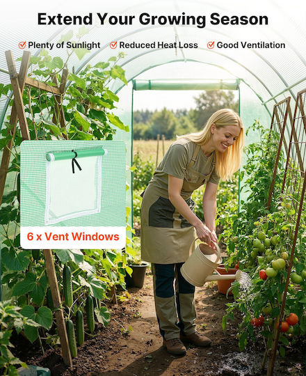 Vevor Vevor Tunnel Greenhouse with Metallic Frame 2.93x1.97x1.94m