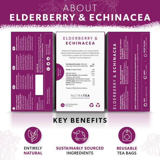 NutraTea Elderberry & Echinacea 40gr 20 φακελίσκοι Elderberry