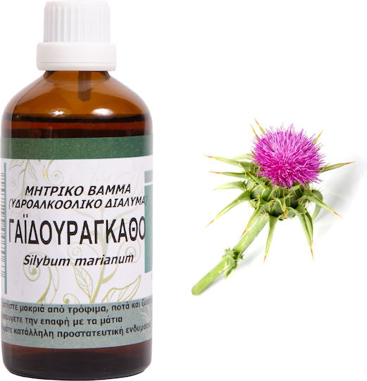 Alexopoulos Mpacharika-Votana & Tsai Tincture Milk Thistle Tincture 100ml
