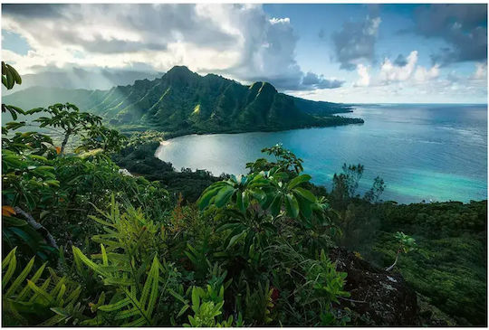Hawaii Puzzle 2D 5000 Teile