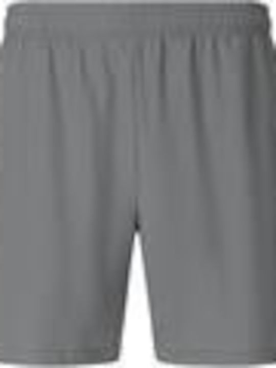 Sport Herren Shorts Grau