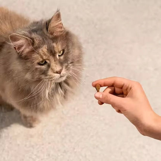 Carnilove Carnilove Crunchy Λιχουδιά Σκύλου χωρίς Σιτηρά με Σολομό και Κολοκύθα 50gr