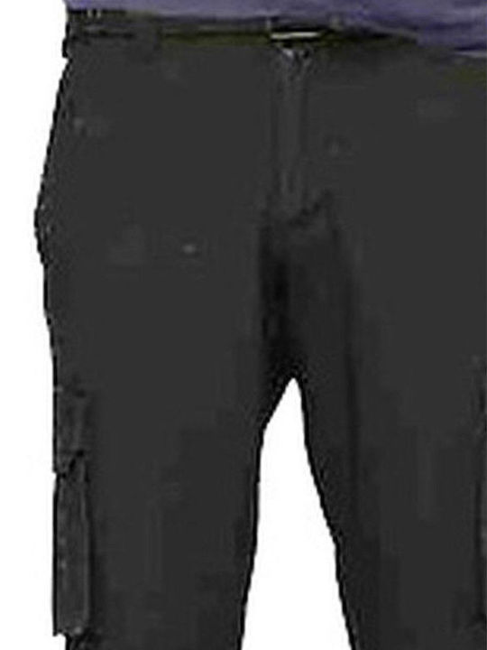 Koyote