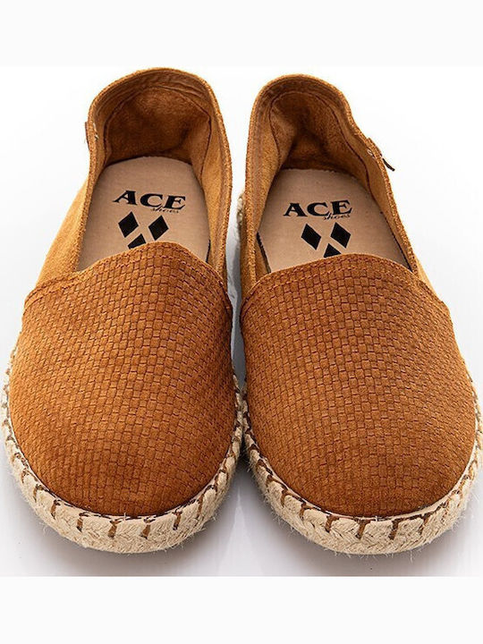 Ace1