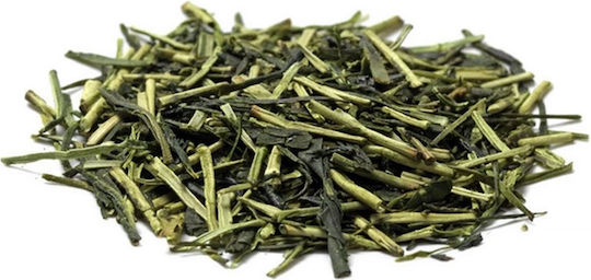 Paper & Tea Paper & Tea Kumano Loose Green Tea Tin 80 G