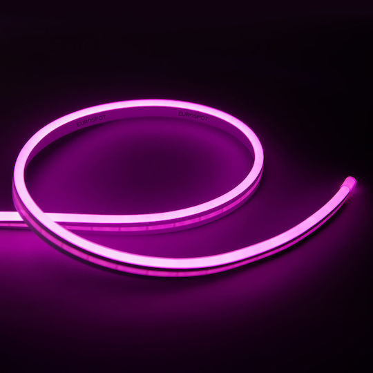 Eurospot Waterproof LED Strip 24V Pink Light 5m Neon Flex