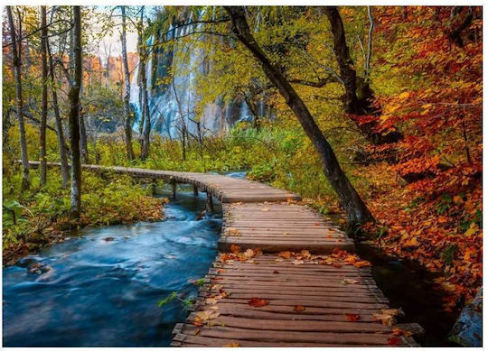 Autumnal Wood Trail Puzzle 2D 1000 Pieces
