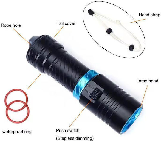 Core Asafee Diving Safety Lights LED