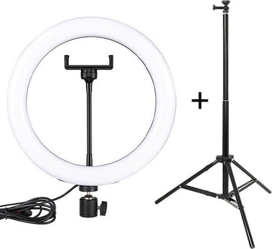 Ring Light 26cm
