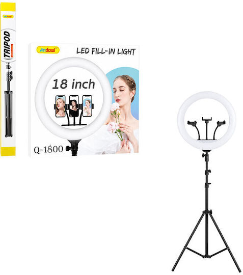 Ring Light 45.72cm and Mobile Phone Holder