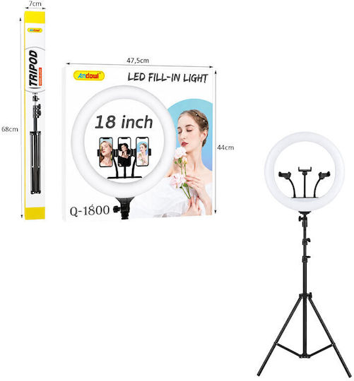 Ring Light 45.72cm and Mobile Phone Holder