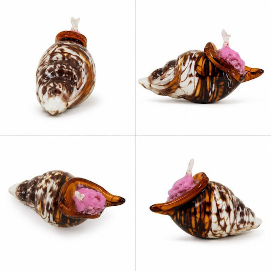 Galifas Buntes Muscheln Kristall Dekoratives 21x12x11cm Galifas Buntes Muscheln Kristall Dekoratives 21x12x11cm