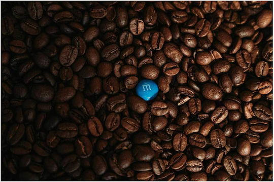 Πίνακας Blue Candy Among Coffee Beans Μπλε Καραμέλα Ανάμεσα Κόκκους Καφέ 80x50