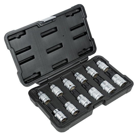 Jbm Κασετινα Καρυδακια 1/2" Torx Κοντη Μυτη 12 Τεμ 54154