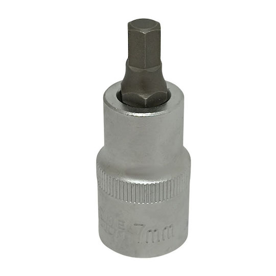 Walnut with Allen Head and Socket 1/2'' Size H7x55mm 1pcs