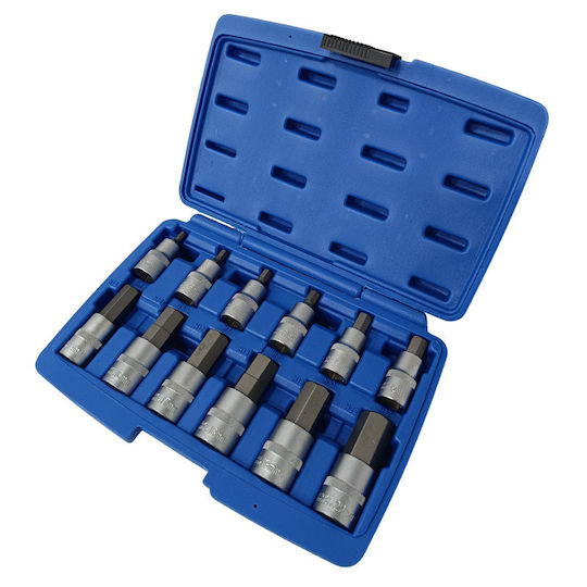 SKS Tools Καρυδάκια με Μύτες Allen και Καρέ Υποδοχής 1/2'' Σετ 12τμχ