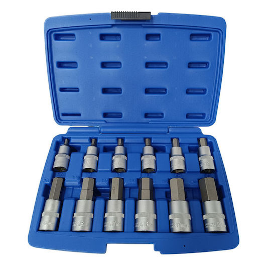 SKS Tools Καρυδάκια με Μύτες Allen και Καρέ Υποδοχής 1/2'' Σετ 12τμχ