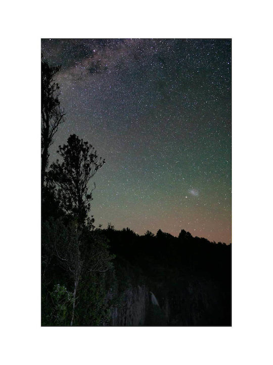 Panou Cerul Nocturn Stele Copaci 70x100