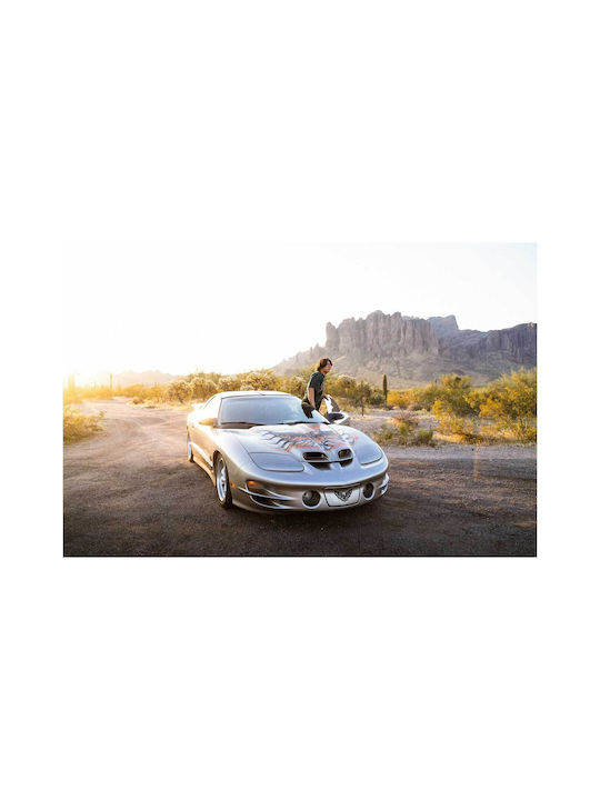 Painting Man Sports Car at Sunset in Desert 100x70