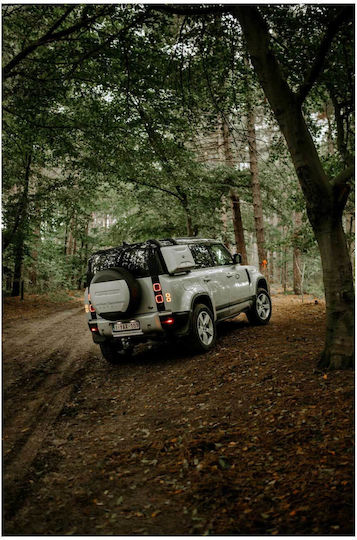 Πίνακας Car Driving Through Forest Οδήγηση Αυτοκινήτου Μέσα Δάσος 40x65