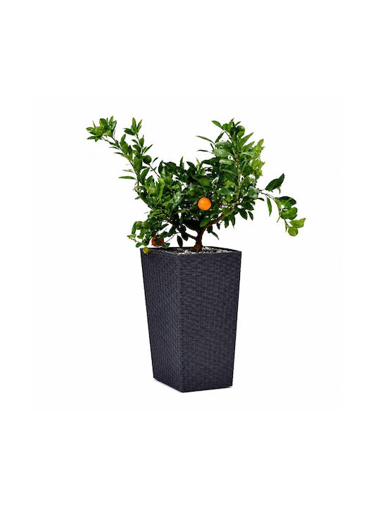 Keter Rattan Planter Pot Plastic Gray