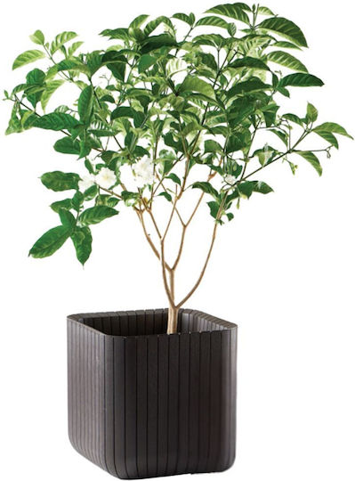 Flower Pot Cube Planter M Gray
