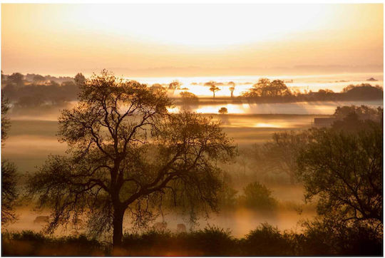 Painting Sunrise Over Misty Landscape 120x80