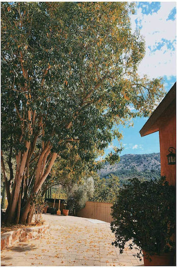 Πίνακας Serene Outdoor Space Γαλήνιος Υπαίθριος Χώρος 70x100