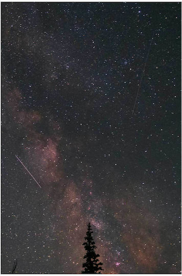 iLovePrints Night Sky Stars Tree Νυχtrlicher Himmel mit Sternen und Bäumen 100x150