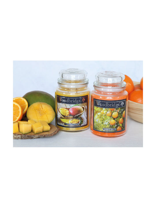 Relaxdays Aromatic Candle with Orange Perfume 17x10cm