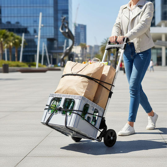 Relaxdays Sistem pentru Transport / Ridicare de Sarcini Pliabil pentru Sarcină de până la 70 kg în Culoare Argintie
