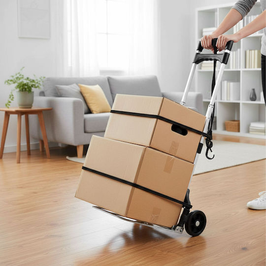 Relaxdays Sistem pentru Transport / Ridicare de Sarcini Pliabil pentru Sarcină de până la 70 kg în Culoare Argintie