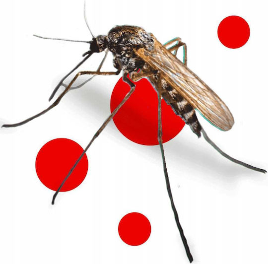Bros Spray Insecto-repellent Deet Potrivit pentru Copii 90ml