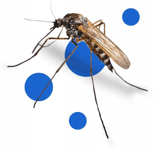 Bros Repelent De Insecte Spray Pentru Țânțari / Muște