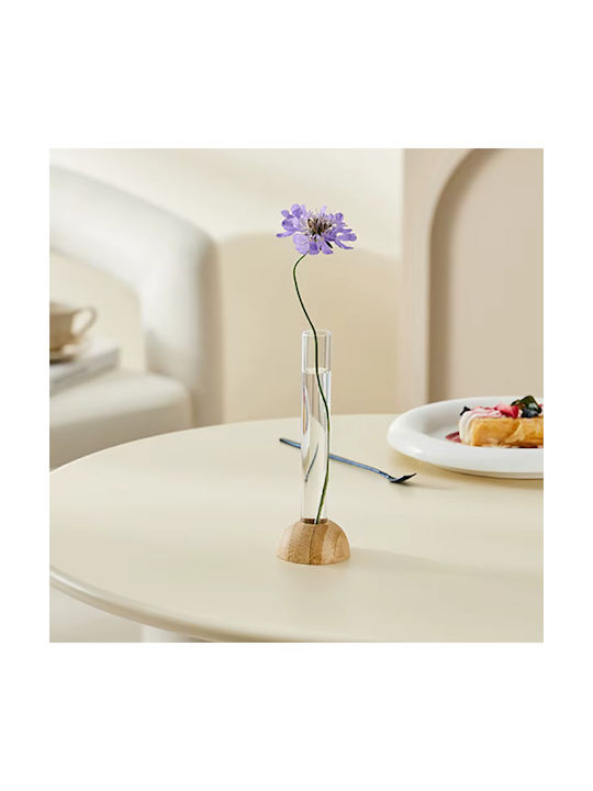 Vază Decorativă Din Lemn Transparentă 5xÎnălțime 15.5cm