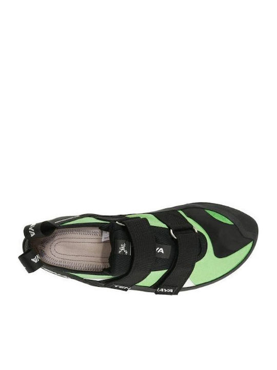 Tenaya Tanta Unisex Climbing Shoes Green