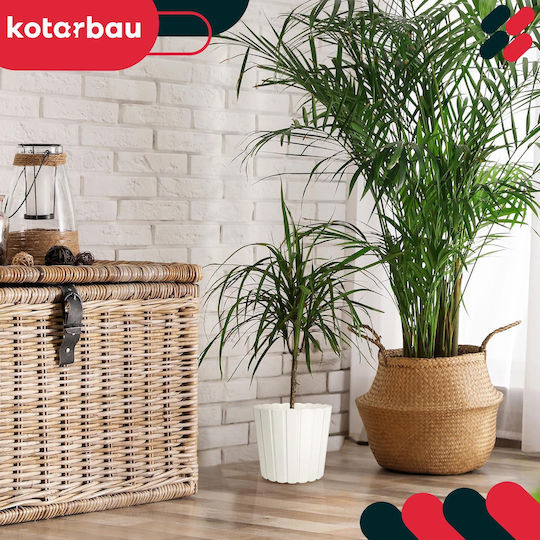 Kotarbau Set 4 Ghivece De Flori Din Plastic Albe