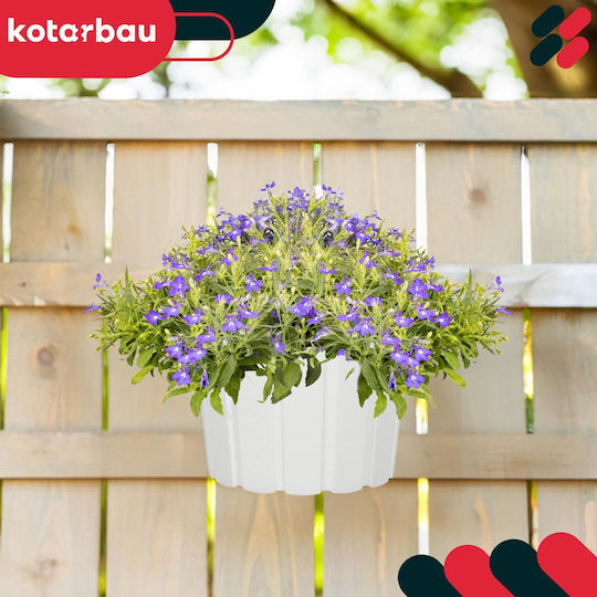 Kotarbau Σετ 6 Γλάστρες Πλαστικές White Kotarbau Σετ 6 Γλάστρες Πλαστικές White