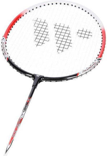 Wish Badminton Set