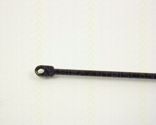 Triscan Hood Shock Absorber 8710 1012