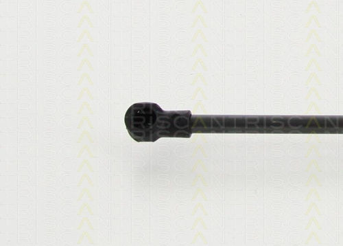 Triscan 8710 13280 Trunk Shock Absorber