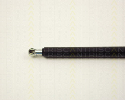 Triscan 8710 13241 Trunk Shock Absorber