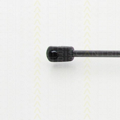 Triscan 8710 40241 Trunk Shock Absorber