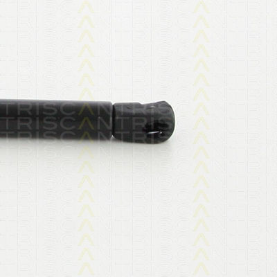 Triscan 8710 40241 Trunk Shock Absorber