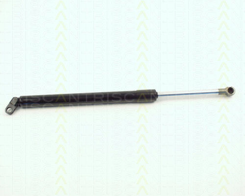 Triscan Trunk Shock Absorber 8710 11208